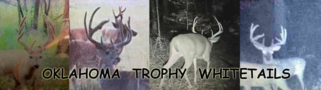 Oklahoma-Trophy-Whitetails